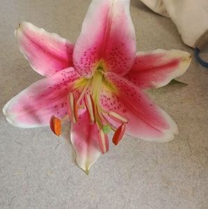 Meet your Posher, Margaret